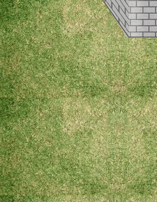 A patch of green grass with some dry areas. At the top right corner, a section of a gray brick wall is visible. The grass has a mix of green and brown shades, indicating seasonal change or partial dryness. Waterproofing Company | Basement Leak Repair | City Wide Group | Professional waterproofing company and basement leak repair in Toronto since 1961. | https://www.citywidegroup.com | +1 416-283-5500 A patch of green grass with some dry areas. At the top right corner, a section of a gray brick wall is visible. The grass has a mix of green and brown shades, indicating seasonal change or partial dryness. Waterproofing Company | Basement Leak Repair | City Wide Group | Professional waterproofing company and basement leak repair in Toronto since 1961. | https://www.citywidegroup.com | +1 416-283-5500