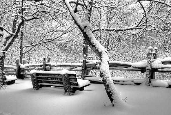 A snow-covered park bench surrounded by trees with bare branches. A rustic wooden fence lines the background, also blanketed in snow, creating a serene winter scene. Waterproofing Company | Basement Leak Repair | City Wide Group | Professional waterproofing company and basement leak repair in Toronto since 1961. | https://www.citywidegroup.com | +1 416-283-5500