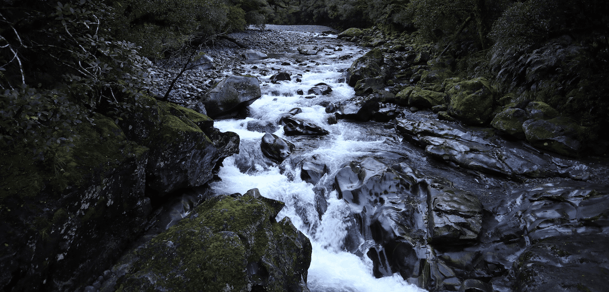 A serene, rocky river flows through a lush forest. Water cascades over large stones, with moss-covered rocks lining the banks. Dense green foliage forms a canopy above, creating a tranquil and secluded atmosphere. Waterproofing Company | Basement Leak Repair | City Wide Group | Professional waterproofing company and basement leak repair in Toronto since 1961. | https://www.citywidegroup.com | +1 416-283-5500