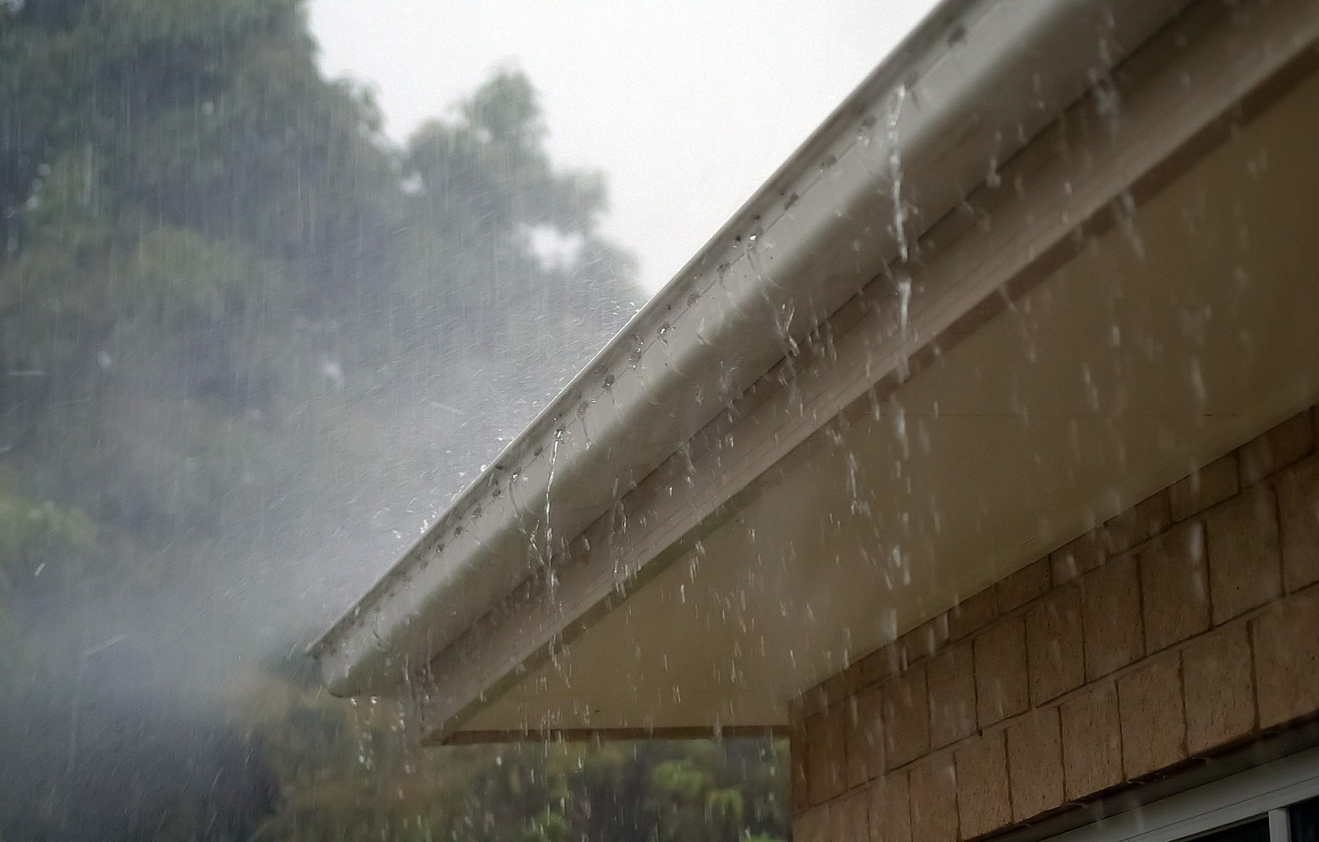 Rainwater cascades off the edge of a houses roof into a gutter during a heavy rainstorm. Tall trees are visible in the blurred background, adding a sense of depth to the rainy scene. Waterproofing Company | Basement Leak Repair | City Wide Group | Professional waterproofing company and basement leak repair in Toronto since 1961. | https://www.citywidegroup.com | +1 416-283-5500