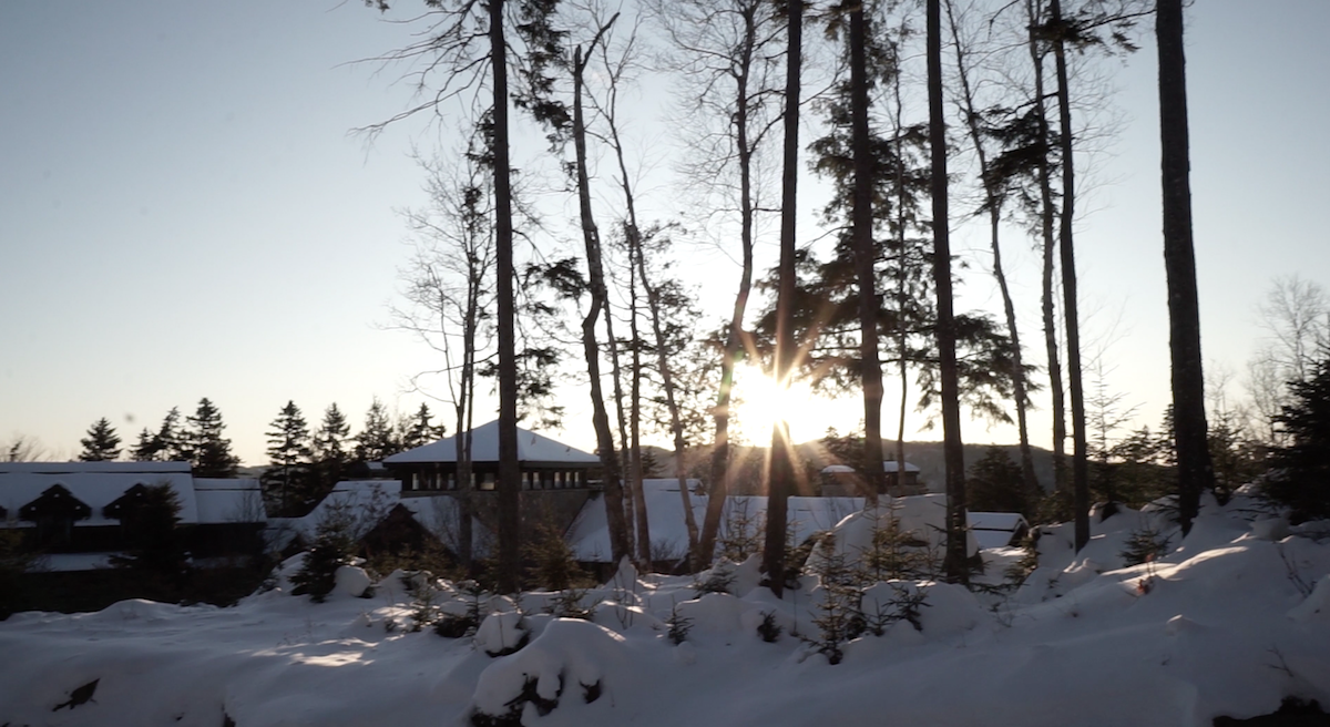 Sun shining through bare, tall trees in a snowy landscape with buildings in the background. The scene captures a winter morning, with sunlight casting gentle shadows on the snow-covered ground—a peaceful moment in the citywide panorama. Waterproofing Company | Basement Leak Repair | City Wide Group | Professional waterproofing company and basement leak repair in Toronto since 1961. | https://www.citywidegroup.com | +1 416-283-5500