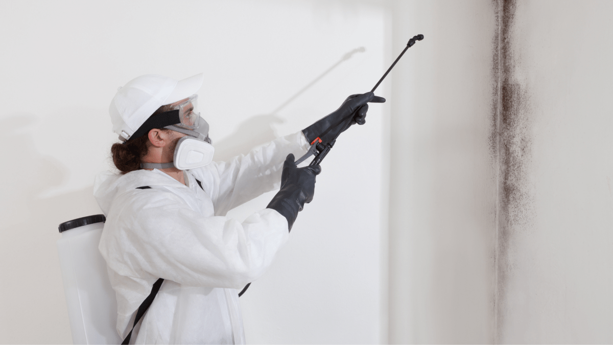 Basement Waterproofing Toronto | Waterproofing Company