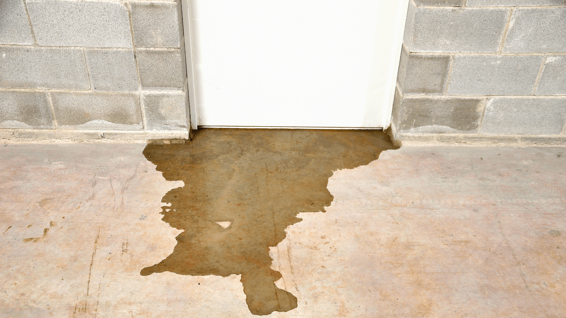Water is seeping under a closed white door, forming a large puddle on a concrete floor in front of a gray cinder block wall. Waterproofing Company | Basement Leak Repair | City Wide Group | Professional waterproofing company and basement leak repair in Toronto since 1961. | https://www.citywidegroup.com | +1 416-283-5500