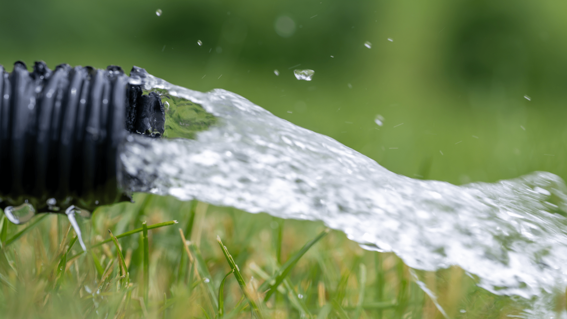 Close-up of water flowing rapidly from the end of a black garden hose onto green grass, with water droplets and a blurred green background visible. Waterproofing Company | Basement Leak Repair | City Wide Group | Professional waterproofing company and basement leak repair in Toronto since 1961. | https://www.citywidegroup.com | +1 416-283-5500